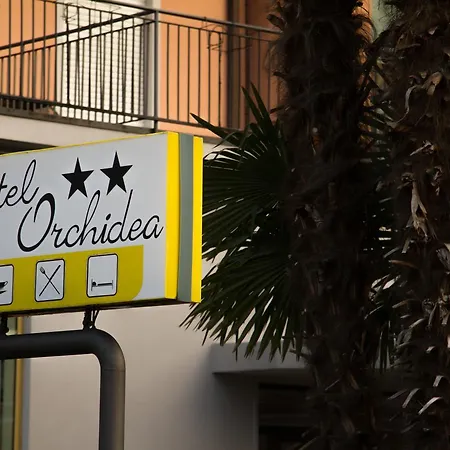 Orchidea